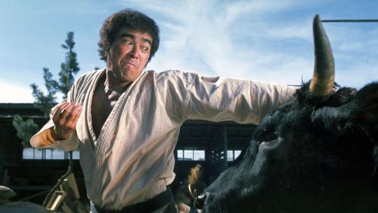 Karate Bullfighter (aka Champion of Death)