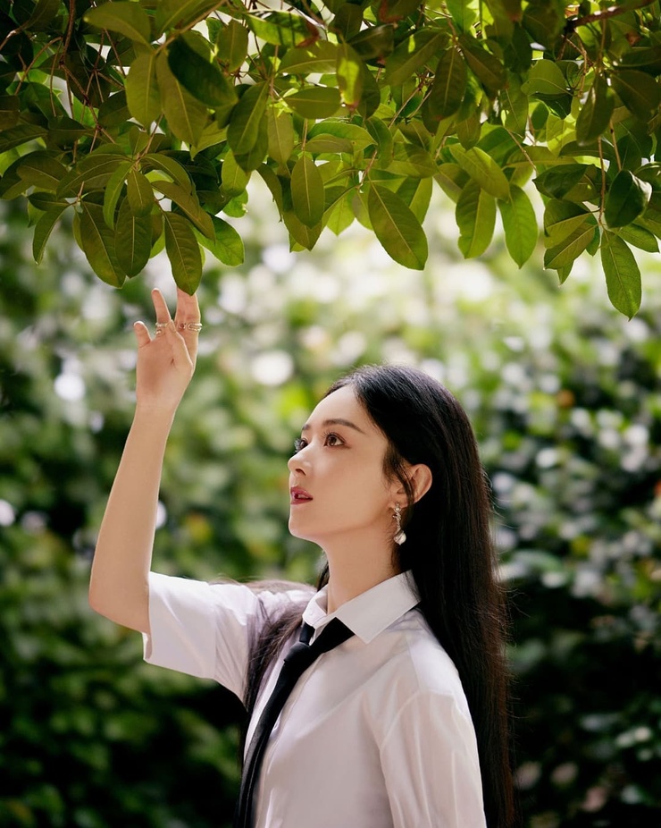 Liying Zhao
