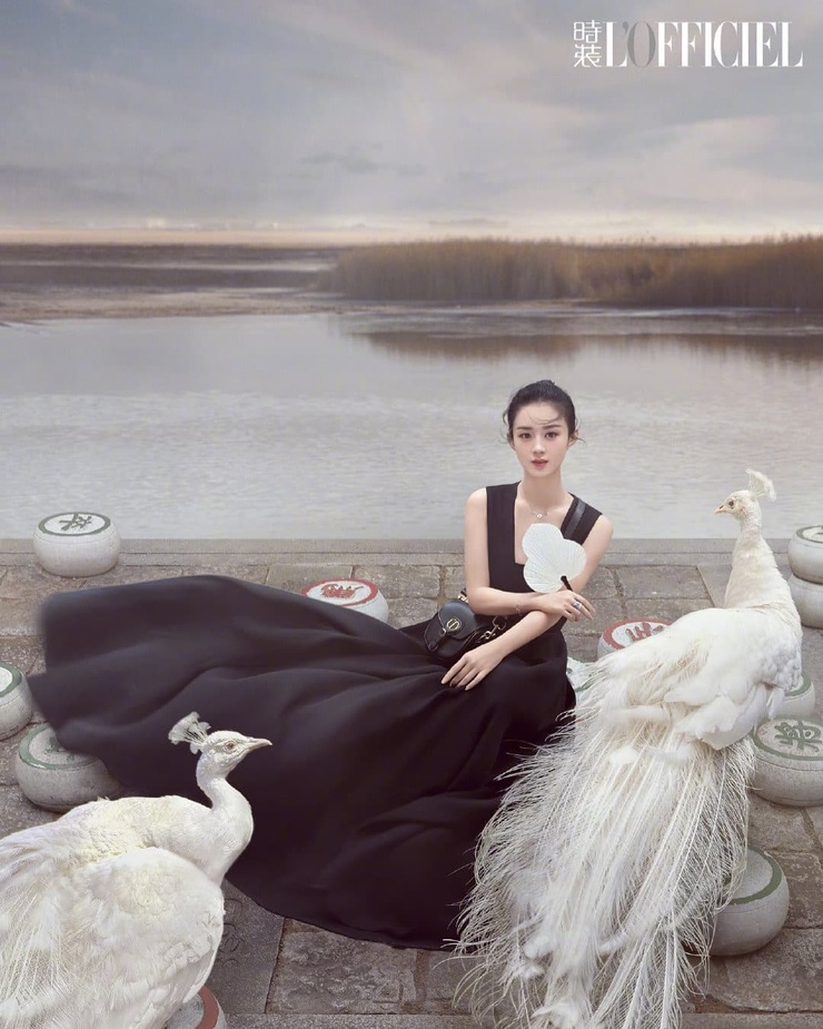 Liying Zhao