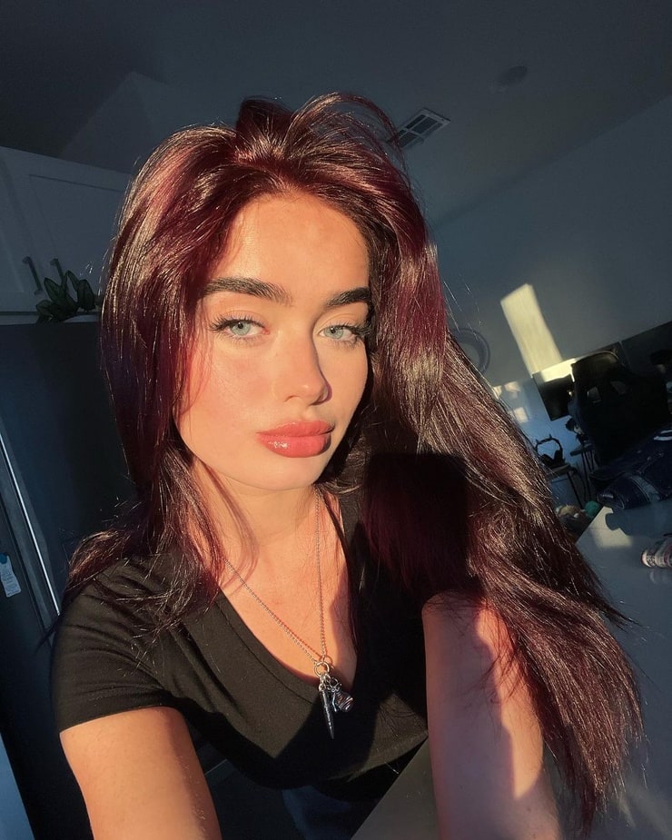 Picture of Trinity Bandit