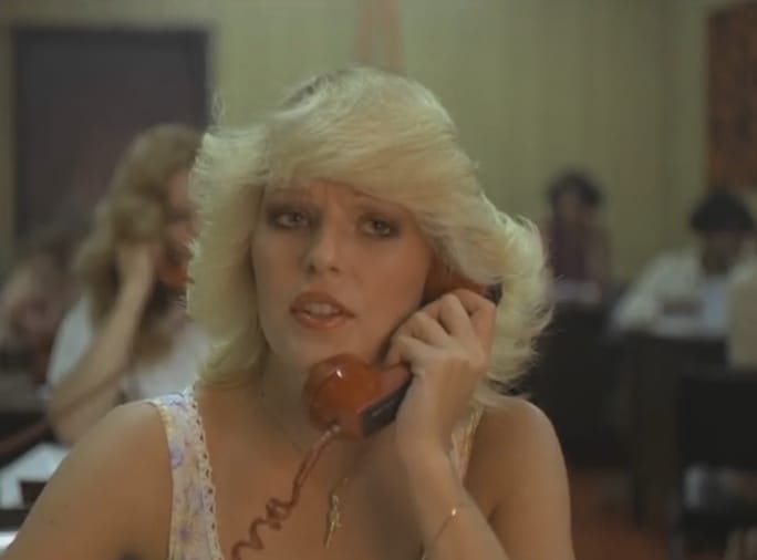 800 Fantasy Lane (1979)