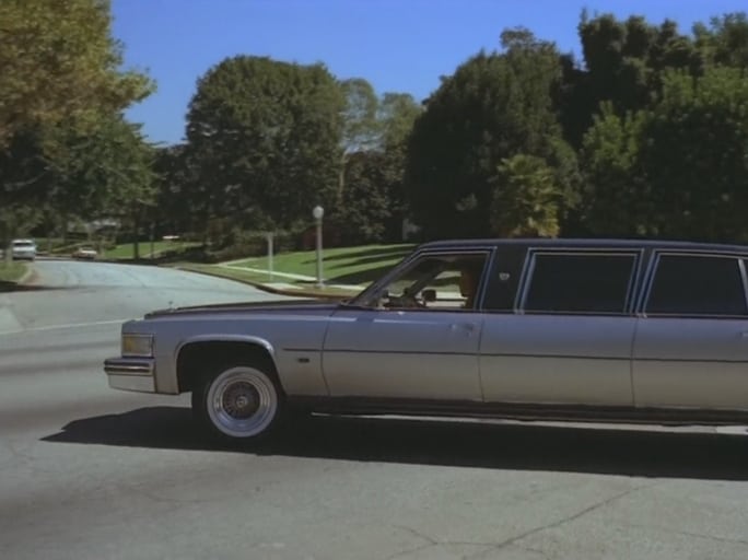 800 Fantasy Lane (1979)