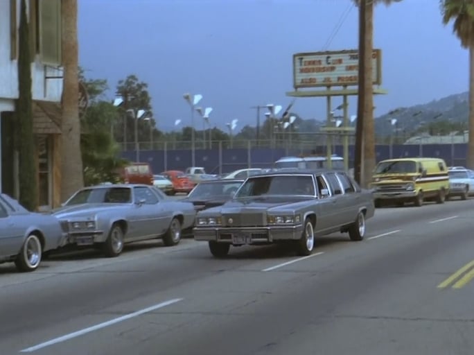 800 Fantasy Lane (1979)