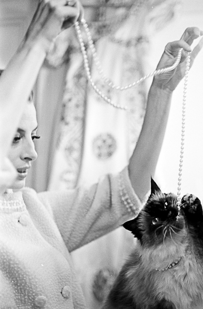 Capucine