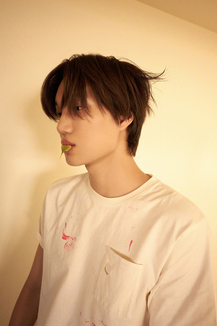 Kai