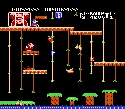 Donkey Kong Jr.