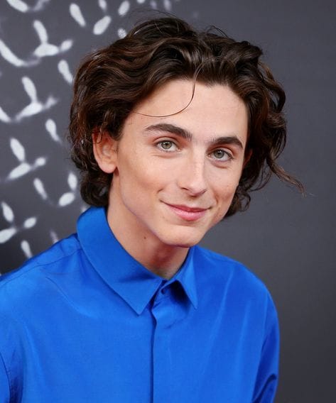 Timothée Chalamet