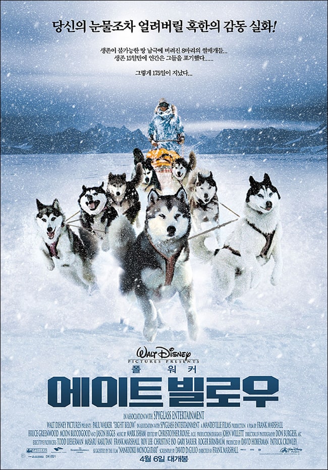 Eight Below