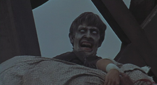 The Plague of the Zombies