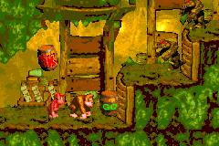 Donkey Kong Country