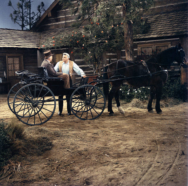 Bonanza
