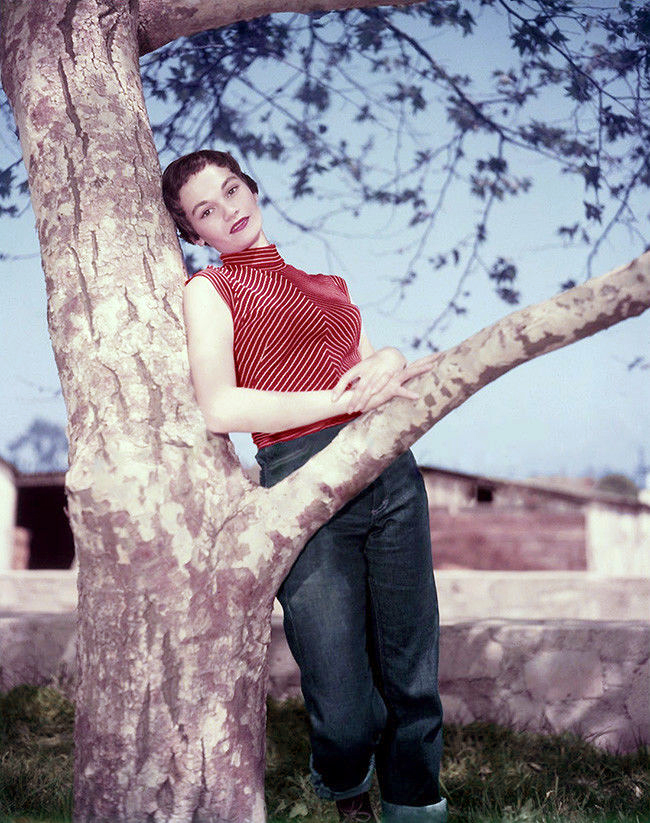 Gloria Talbott Gloria Talbott