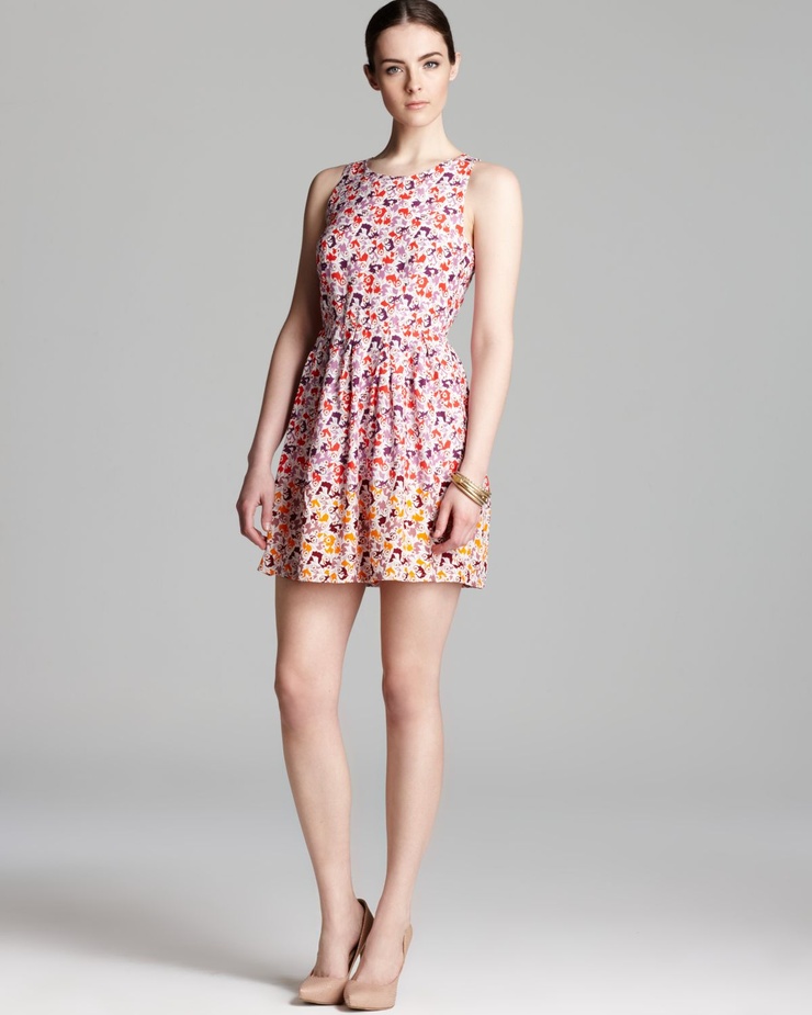 Allaire Heisig (new)