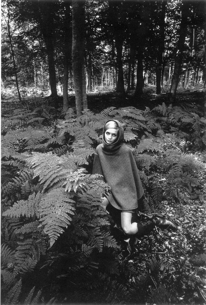 Twiggy Twiggy