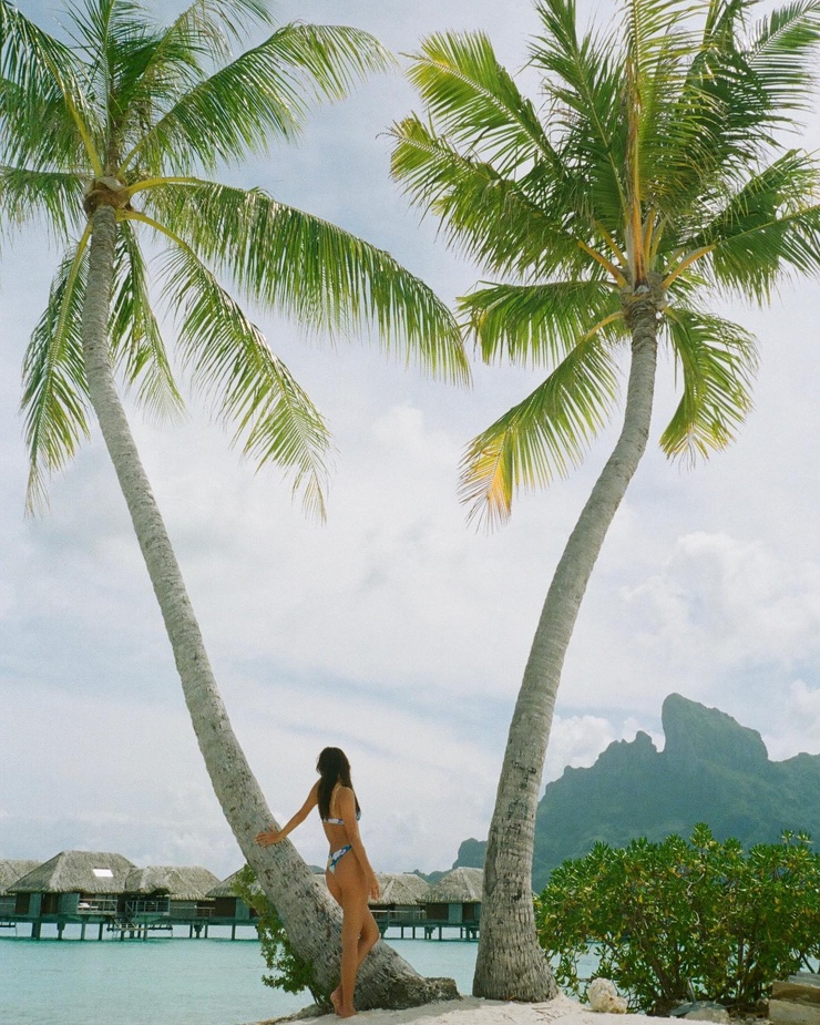 Lily Chee