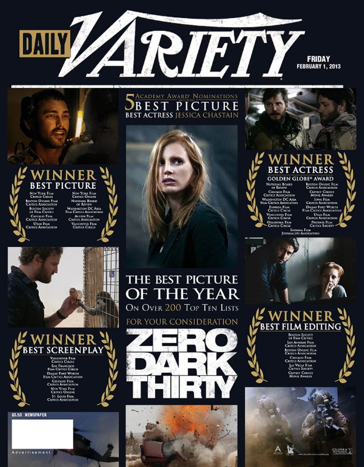 Zero Dark Thirty image