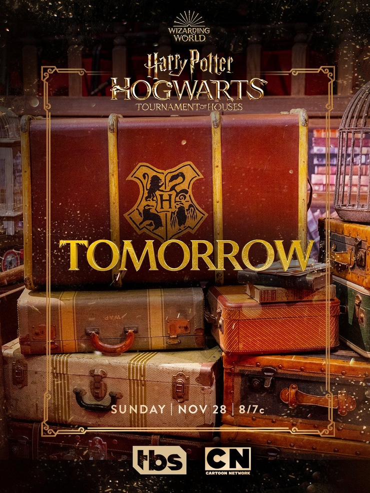 Harry Potter: Hogwarts Tournament of Houses