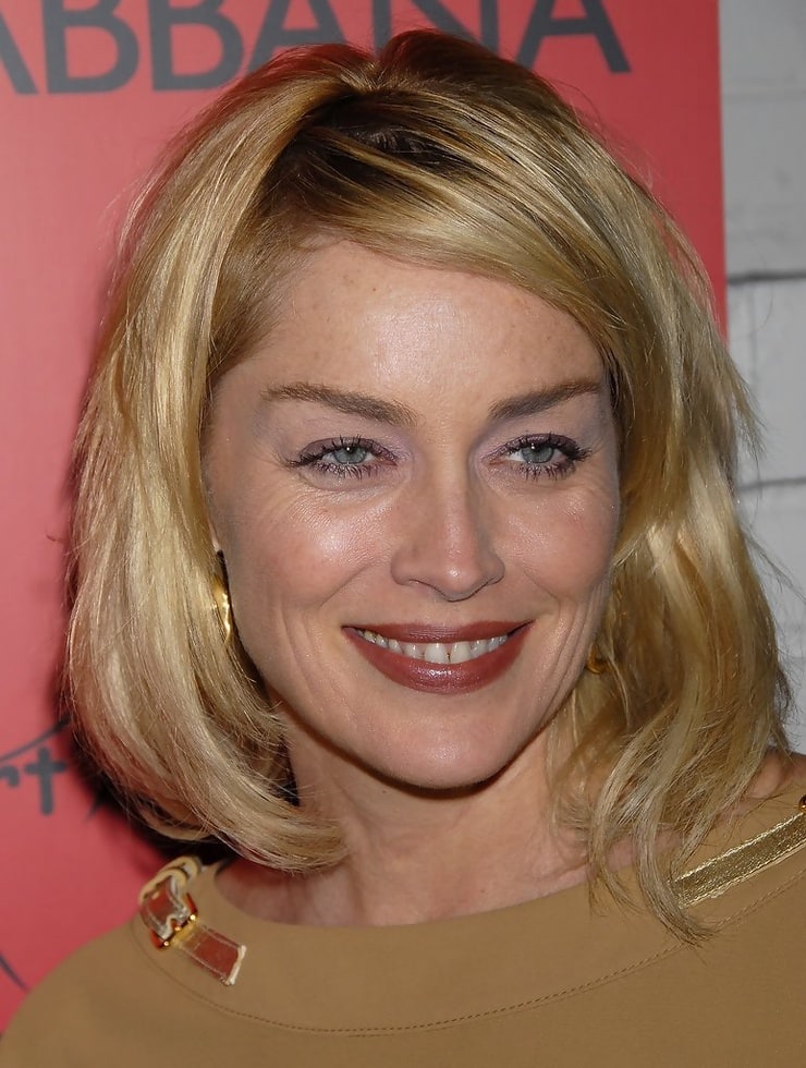 Picture Of Sharon Stone 2485