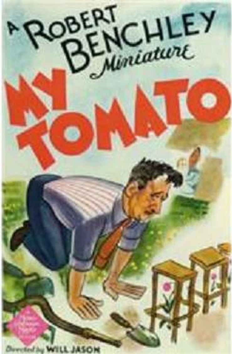 My Tomato