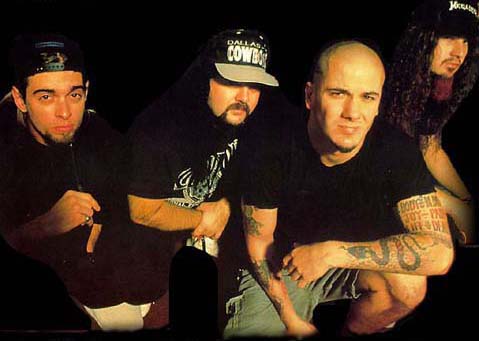 Pantera Pantera