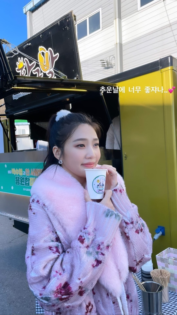Joy (Park Soo Young)
