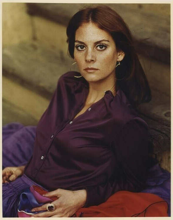 Lesley Ann Warren Lesley Ann Warren