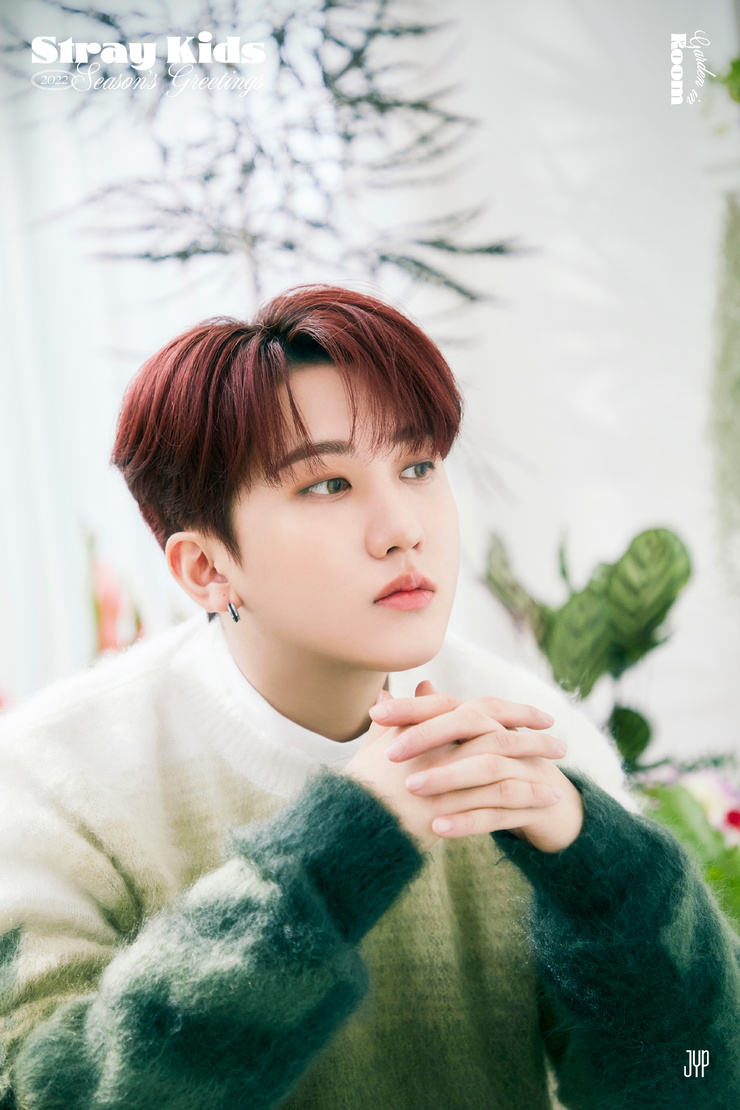 Stray Kids