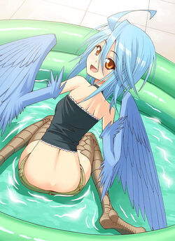 Papi (Monster Musume)