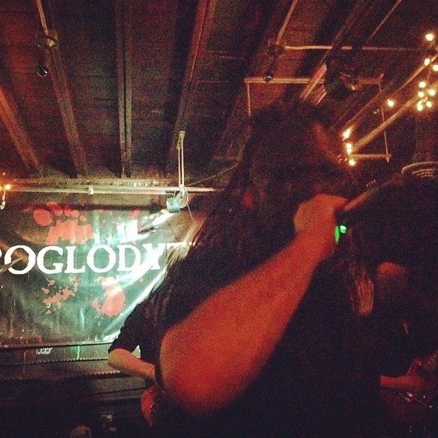 Troglodyte