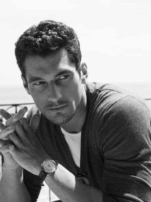 David Gandy