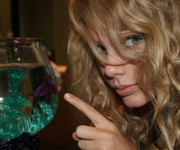 Taylor Swift Taylor Swift