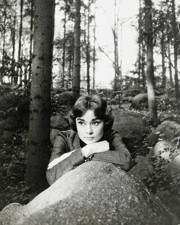 Audrey Hepburn Audrey Hepburn