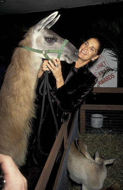 Ali MacGraw