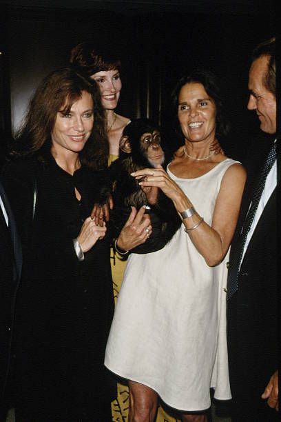 Ali MacGraw
