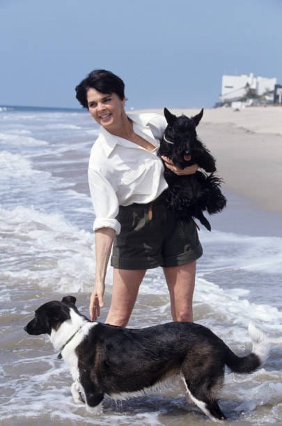 Ali MacGraw