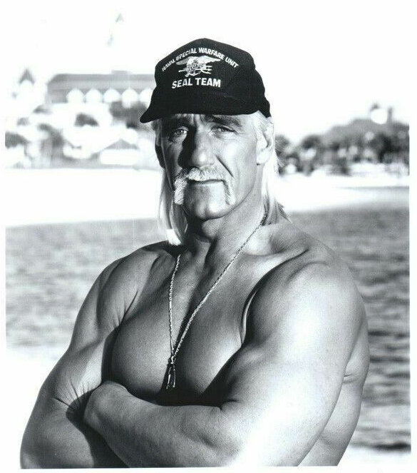 Hulk Hogan Hulk Hogan