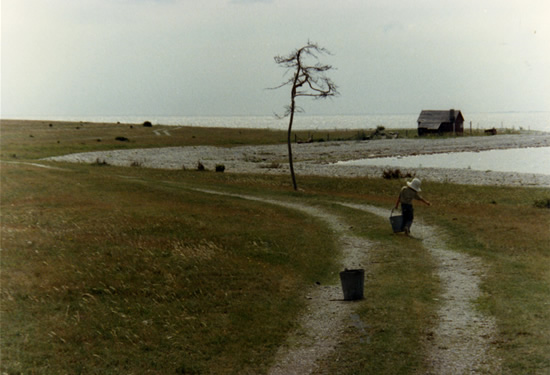 The Sacrifice (1986)