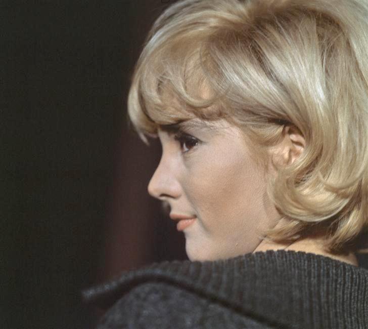 Sylvie Vartan