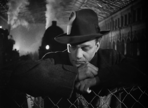 The Third Man