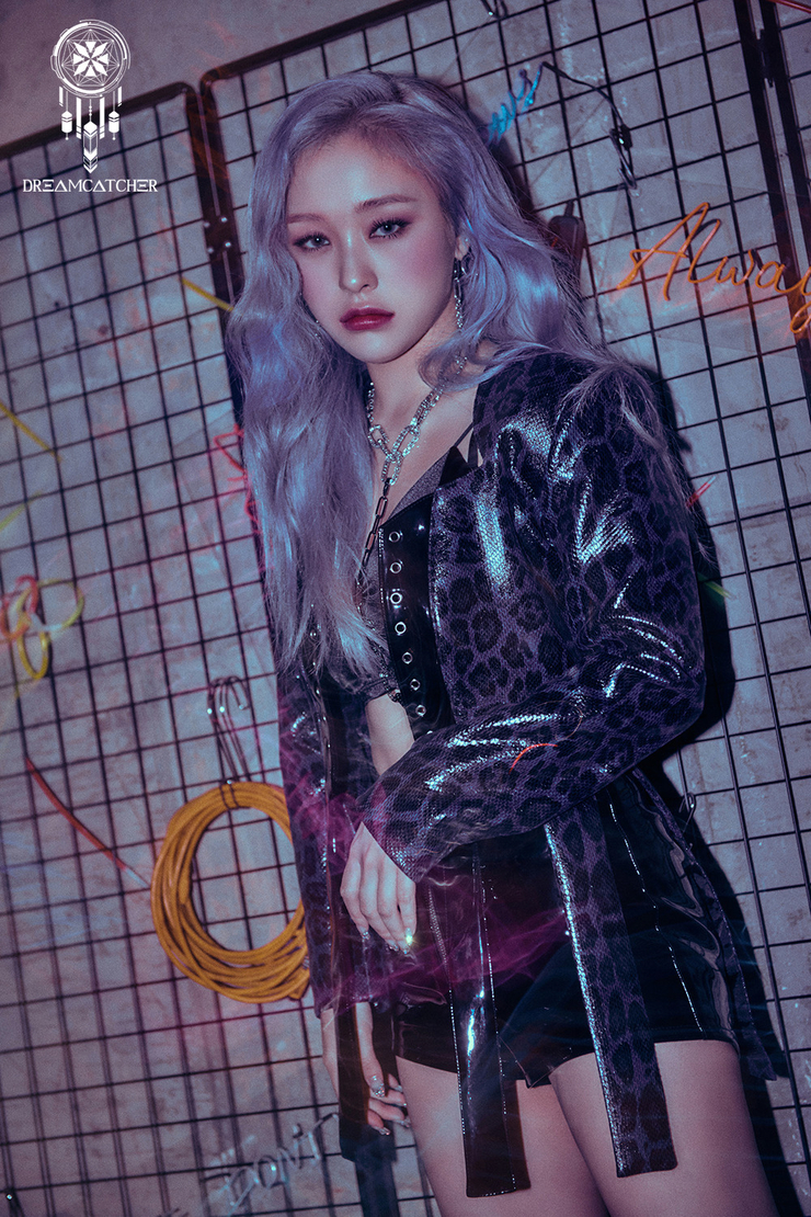Dreamcatcher