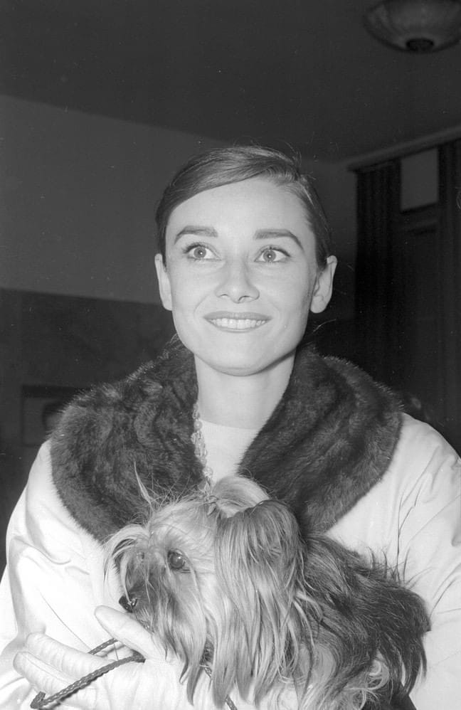 Audrey Hepburn