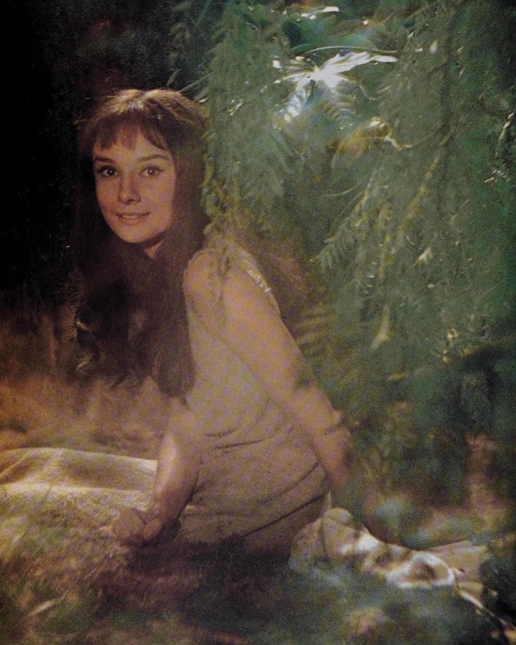 Audrey Hepburn