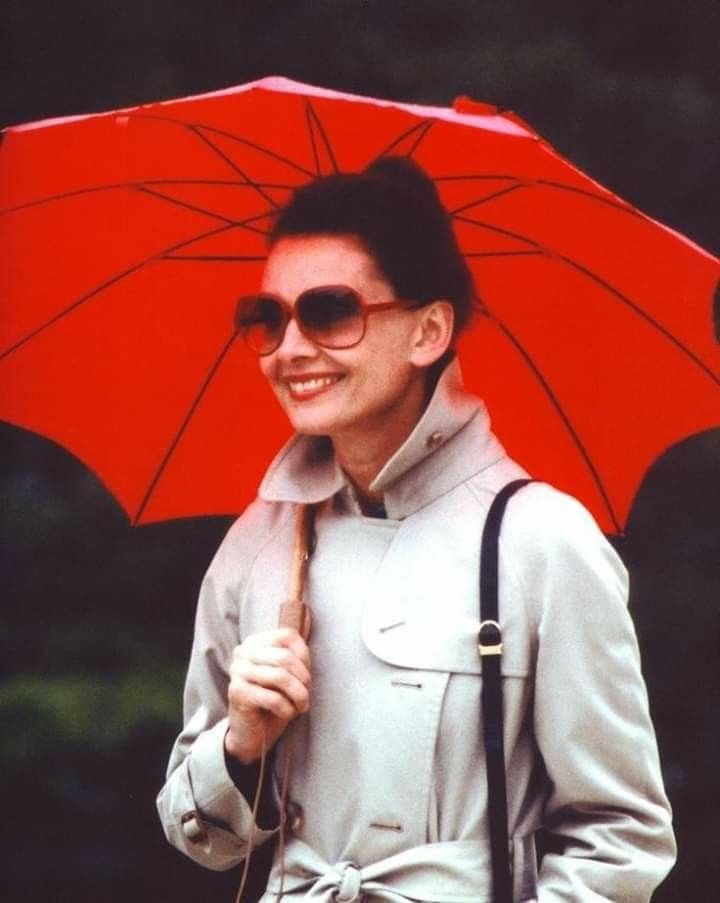 Audrey Hepburn image