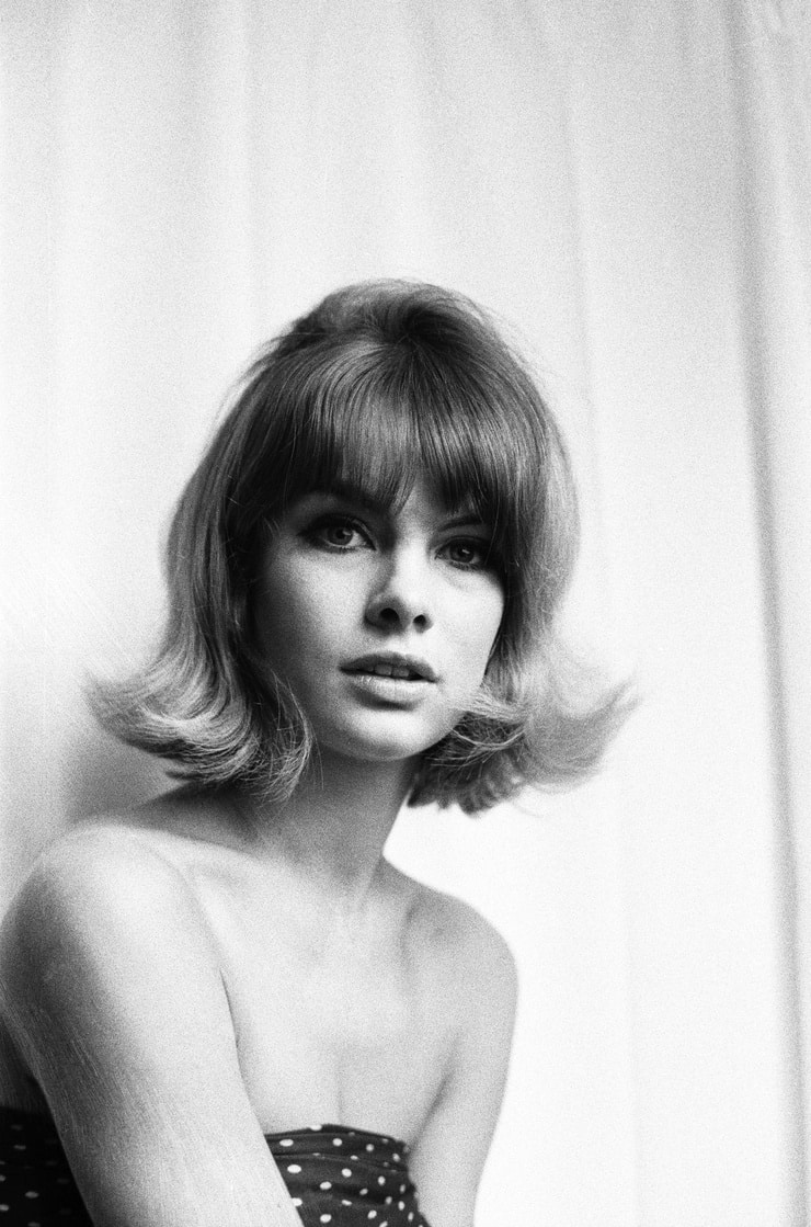 Picture of Jean Shrimpton