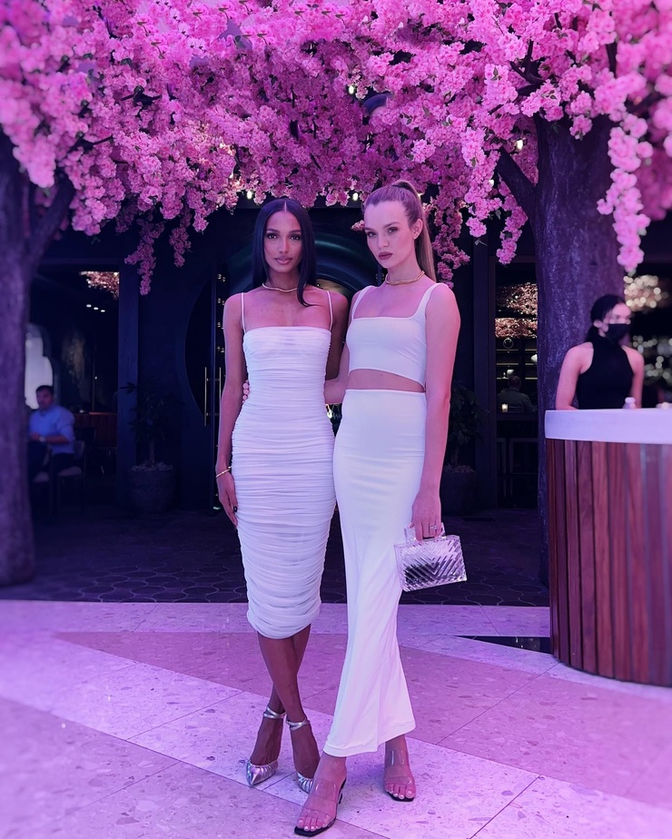 Picture of Josephine Skriver