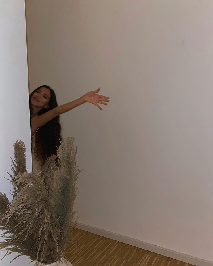 dina denoire