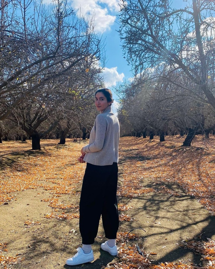 Nikohl Boosheri