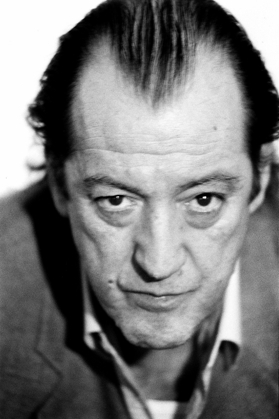 Josse De Pauw