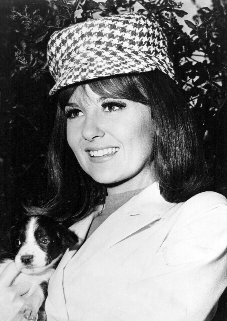 Shelley Fabares Shelley Fabares