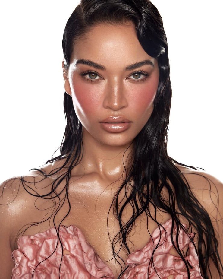 Shanina Shaik